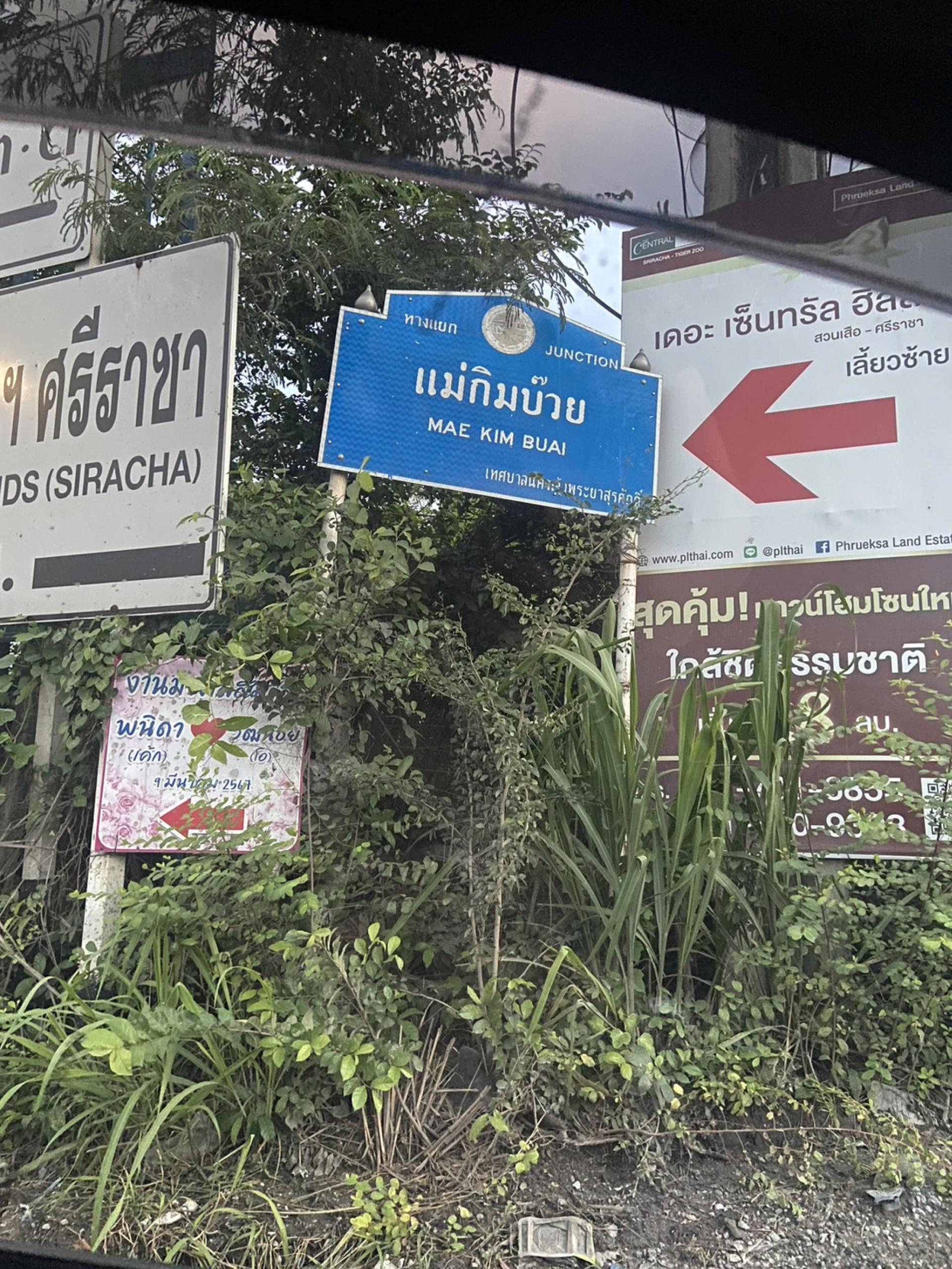 ถนนซอยแม่กิมบ๊วยทางไปโค้งดารา